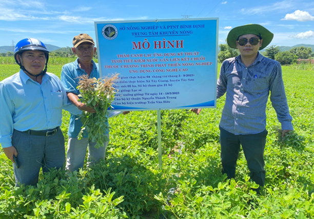 Mô hình thâm canh cây lạc gắn liên kết chuỗi có sử dụng hệ thống tưới nước tiết kiệm