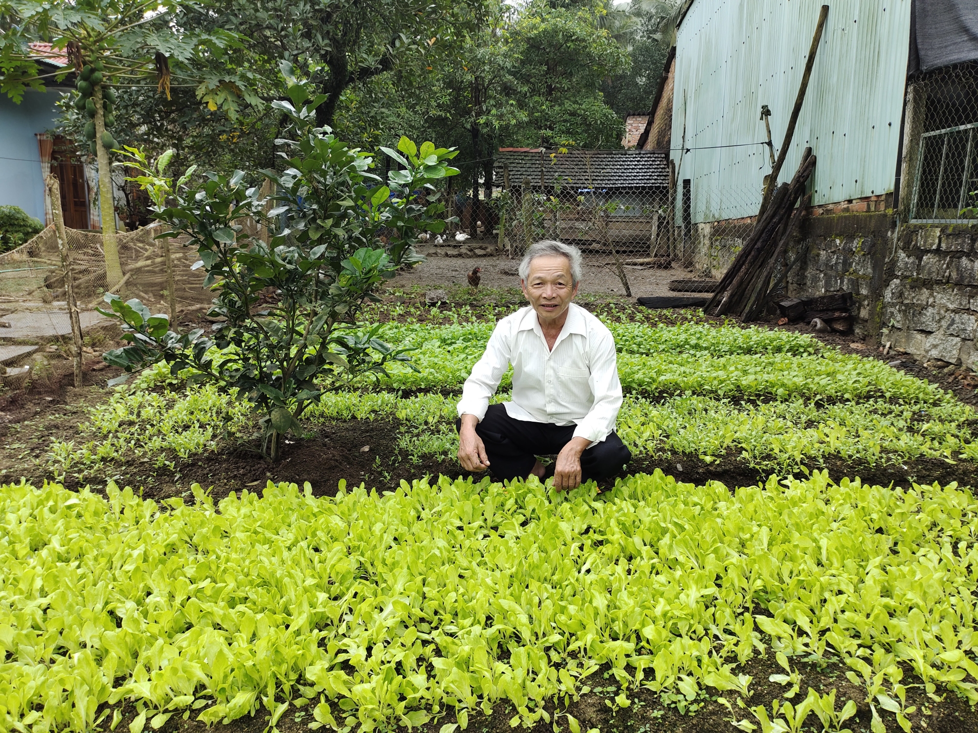 Ông Trần Tấn Đức, hội viên nông dân thôn Tân Lập, xã An Tân luôn đi đầu trong phong trào xây dựng nông thôn mới và sản xuất kinh doanh giỏi ở địa phương