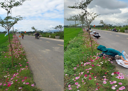 Hội viên nông dân tham gia mô hình “Bóng mát đường quê” đã trồng thêm một số loại hoa dưới tán cây làm cho tuyến đường thêm tươi mới.