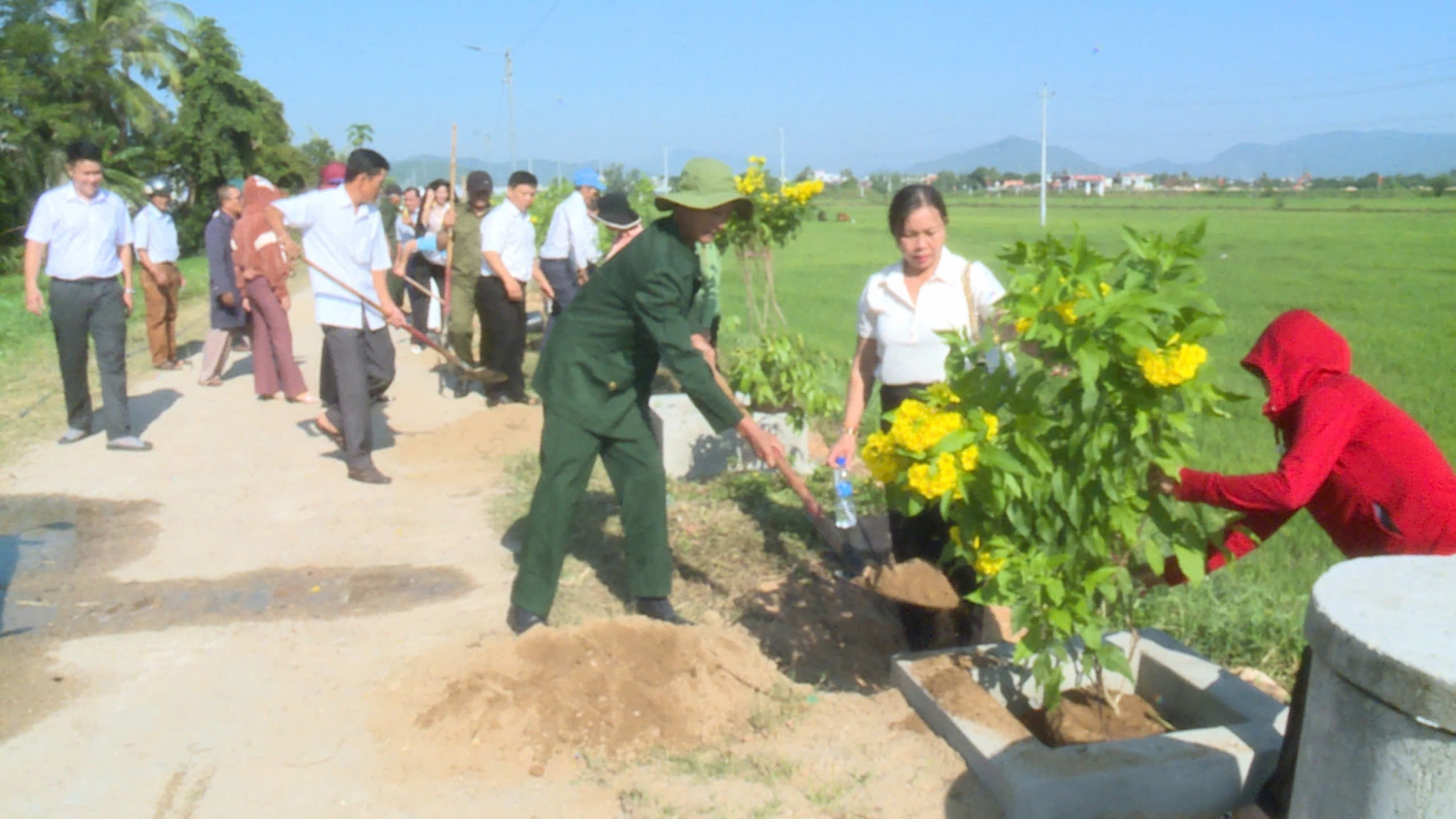 Nông dân xã Tây Xuân, huyện Tây Sơn xây dựng tuyến đường hoa gắn với bảo vệ môi trường năm 2024