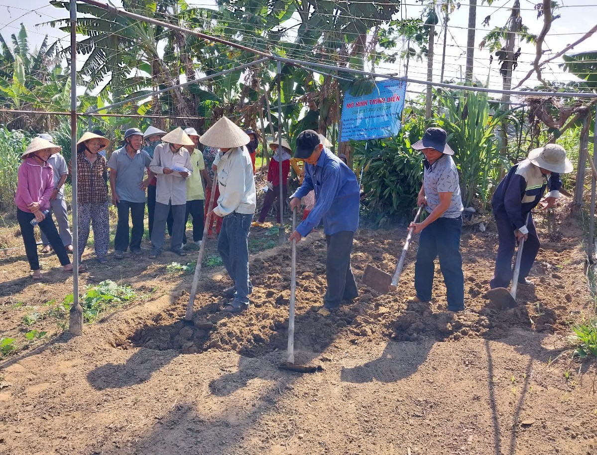 Các hộ nông dân được hướng dẫn thực hành tại hiện trường