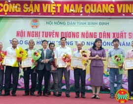 DC-Do-Thien-Che-Pho-Chu-tich-HND-tinh-tang-Bang-khen-cho-cac-ca-nhan-duoc-tuyen-duong-sang-tao-nha-nong-nam-2024.jpg