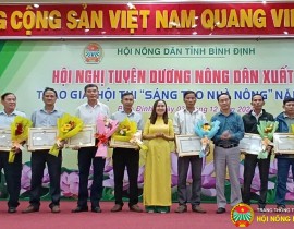 DC-Le-Thi-Thanh-Huong-Pho-Chu-tich-HND-tinh-tang-Bang-khen-cho-cac-ca-nhan-duoc-tuyen-duong-sang-tao-nha-nong-nam-2024.jpg